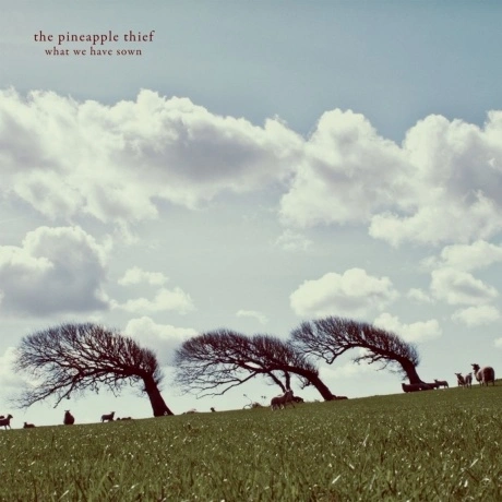 The Pineapple Thief - What We Have Sown (0802644800813) винилова...