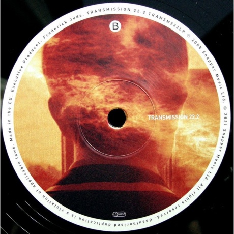 Porcupine Tree - Lightbulb Sun (0802644822211) виниловая пластинка - фото 4