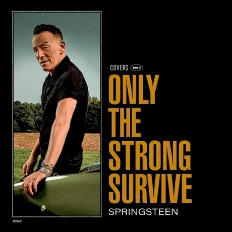 Bruce Springsteen - Only The Strong Survive (0196587453619) вини...