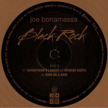 Joe Bonamassa - Black Rock (Solid Gold) (8712725746409) виниловая пластинка - фото 6