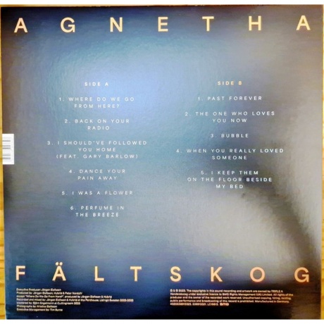 Agnetha Faltskog - A+ (coloured) (4050538913323) виниловая пластинка - фото 2