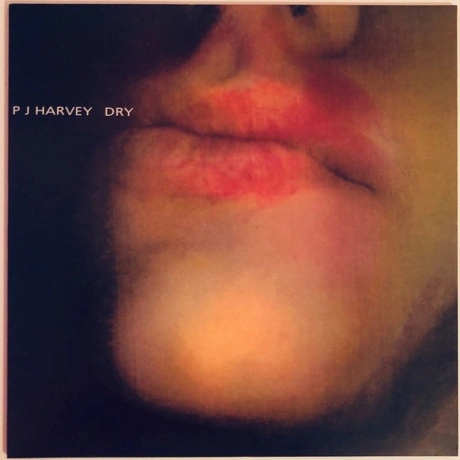 0644918001010, Harvey, PJ, Dry виниловая пластинка