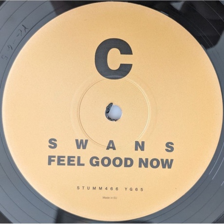 Swans - Feel Good Now (5400863046088) виниловая пластинка - фото 5
