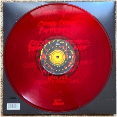 Serj Tankian - Harakiri (coloured) (0197188550318) виниловая пластинка - фото 6