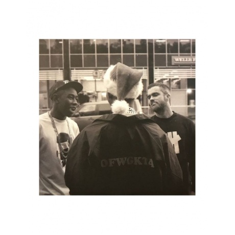 0634904052911, Виниловая пластинка Tyler, The Creator, Goblin - фото 4