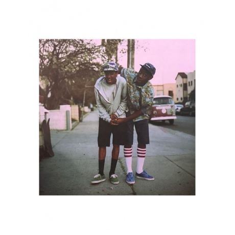 0634904052911, Виниловая пластинка Tyler, The Creator, Goblin - фото 8