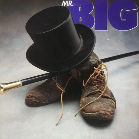 Mr. Big - Mr. Big (coloured) (Audiophile Edition) (4895241411748...