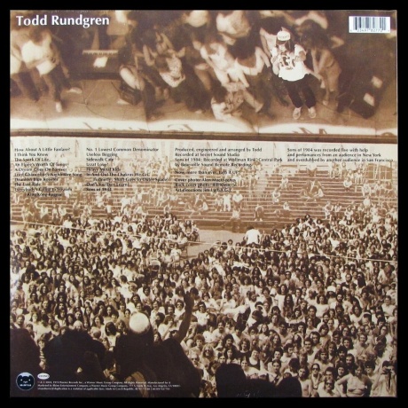 Todd Rundgren - Todd (coloured) (0603497827701) виниловая пластинка - фото 2