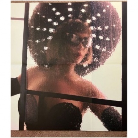 Beyonce - Renaissance (Box) (0196587196714) виниловая пластинка - фото 14