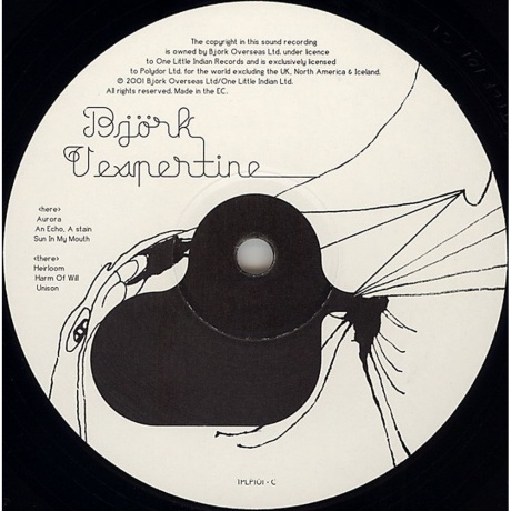 Bjork - Vespertine (5016958046019) виниловая пластинка - фото 6