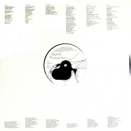 Bjork - Vespertine (5016958046019) виниловая пластинка - фото 10