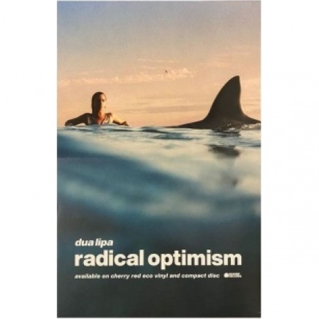 Dua Lipa - Radical Optimism (coloured) (5054197943461) виниловая пластинка - фото 10