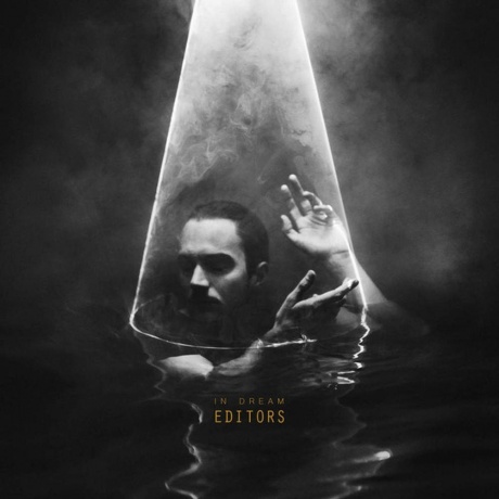 5414939925641, Editors, In Dream виниловая пластинка - фото 1