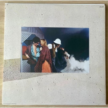 Fleetwood Mac - Tusk (coloured) (0603497825127) виниловая пластинка - фото 6