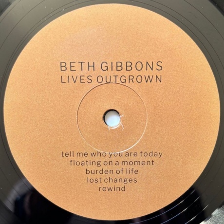 Beth Gibbons - Lives Outgrown (0887828028719) виниловая пластинка - фото 4