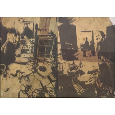 Beth Gibbons - Lives Outgrown - deluxe (0887828028771) виниловая пластинка - фото 15