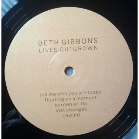 Beth Gibbons - Lives Outgrown - deluxe (0887828028771) виниловая пластинка - фото 6