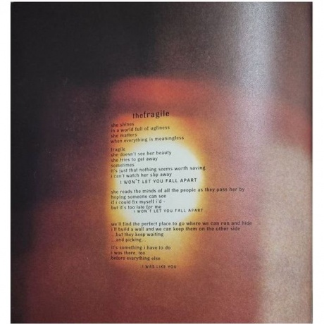 Nine Inch Nails - The Fragile (0602557142778) виниловая пластинка - фото 22