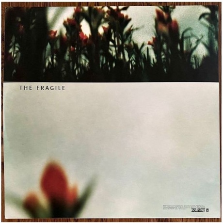 Nine Inch Nails - The Fragile (0602557142778) виниловая пластинка - фото 4
