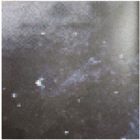 Nine Inch Nails - The Fragile (0602557142778) виниловая пластинка - фото 38