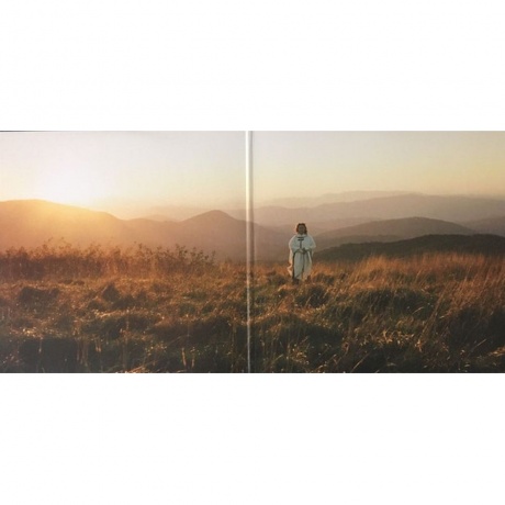 Angel Olsen - Big Time (0656605242415) виниловая пластинка - фото 10