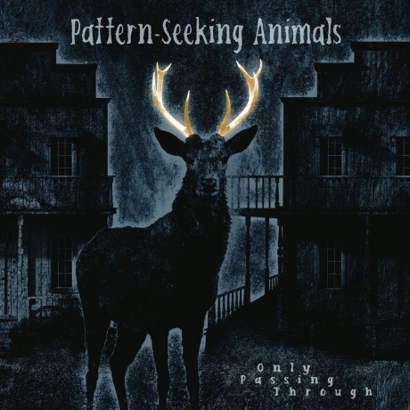 Pattern-Seeking Animals - Only Passing Through (0194399822111) виниловая пластинка - фото 1
