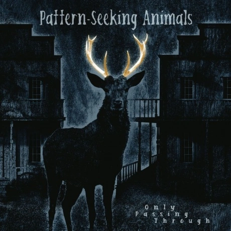 Pattern-Seeking Animals - Only Passing Through (0194399822111) в...