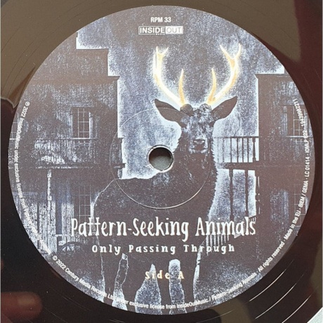 Pattern-Seeking Animals - Only Passing Through (0194399822111) виниловая пластинка - фото 4