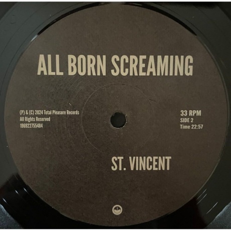 St. Vincent - All Born Screaming (0196922755484) виниловая пластинка - фото 4