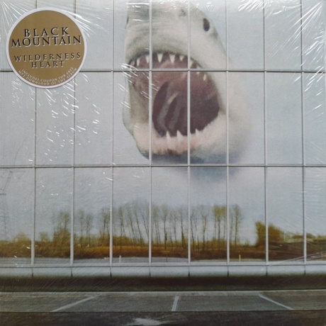 Black Mountain - Wilderness Heart (0656605217512) виниловая пластинка - фото 2