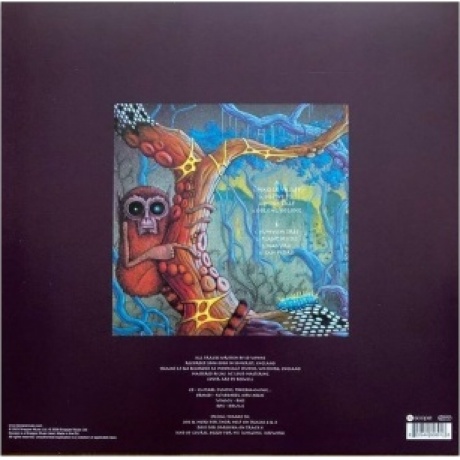 Ozric Tentacles - The Yum Yum Tree (0802644808918) виниловая пластинка - фото 2