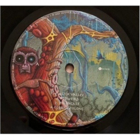 Ozric Tentacles - The Yum Yum Tree (0802644808918) виниловая пластинка - фото 3