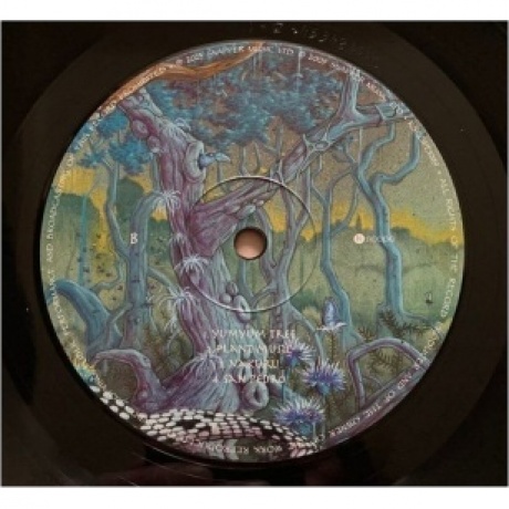 Ozric Tentacles - The Yum Yum Tree (0802644808918) виниловая пластинка - фото 4