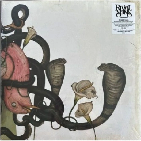 Rival Sons - Head Down (0787790458883) виниловая пластинка