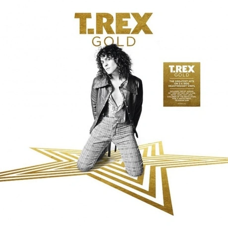 T. Rex - Gold (5014797897335) виниловая пластинка