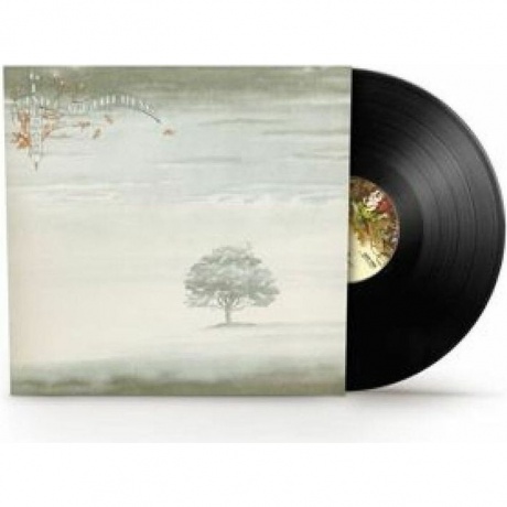 Genesis - Wind &amp; Wuthering (2024 Vinyl Reissues) (0081227955311) виниловая пластинка - фото 1