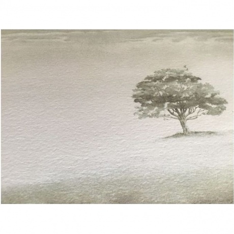 Genesis - Wind &amp; Wuthering (2024 Vinyl Reissues) (0081227955311) виниловая пластинка - фото 6