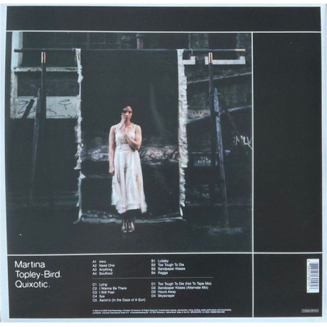 Martina Topley-Bird - Quixotic (0888072601956) виниловая пластинка - фото 4