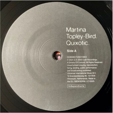 Martina Topley-Bird - Quixotic (0888072601956) виниловая пластинка - фото 5