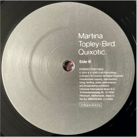 Martina Topley-Bird - Quixotic (0888072601956) виниловая пластинка - фото 6