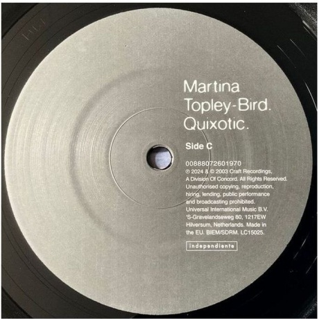 Martina Topley-Bird - Quixotic (0888072601956) виниловая пластинка - фото 7