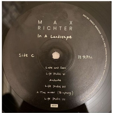 Max Richter - In A Landscape (0602458823523) виниловая пластинка - фото 6