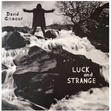 David Gilmour - Luck And Strange (0198028046114) виниловая пластинка - фото 1