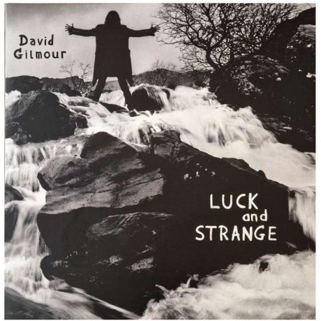 David Gilmour - Luck And Strange (0198028046114) виниловая пласт...