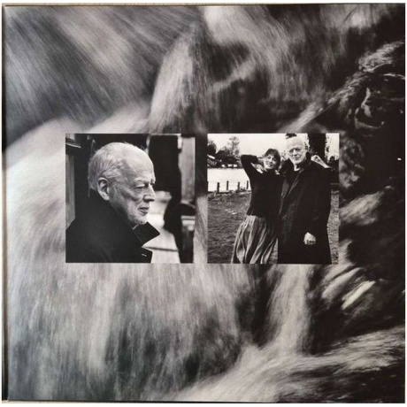 David Gilmour - Luck And Strange (0198028046114) виниловая пластинка - фото 2
