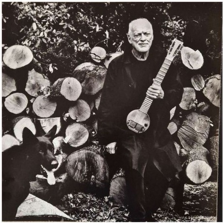 David Gilmour - Luck And Strange (0198028046114) виниловая пластинка - фото 11