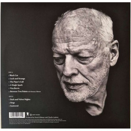 David Gilmour - Luck And Strange (0198028046114) виниловая пластинка - фото 4