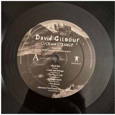 David Gilmour - Luck And Strange (0198028046114) виниловая пластинка - фото 5