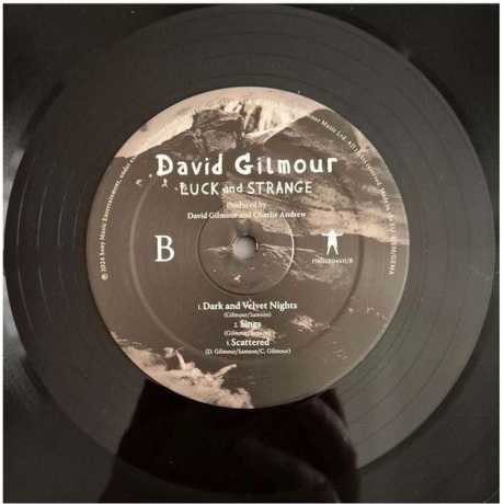 David Gilmour - Luck And Strange (0198028046114) виниловая пластинка - фото 6