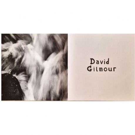 David Gilmour - Luck And Strange (0198028046114) виниловая пластинка - фото 8
